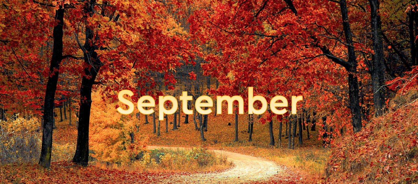 Coming up in September | Welcome to Together TV | Together for good